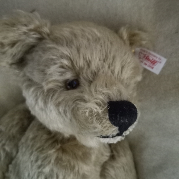 steiff Other - Steiff Cream Teddy Bear Authentic Tagged; Numbered